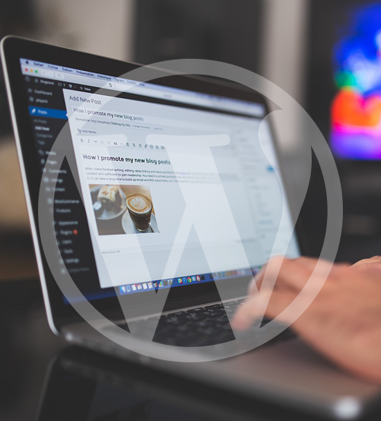 Desarrollo web en WordPress en Sevilla